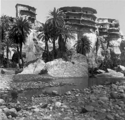 Biskra, l' Oasis et ses curieuses contructions de boue sche. 